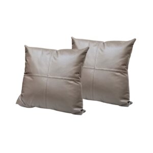 Cojín Cuero 50 X 50 Set X2