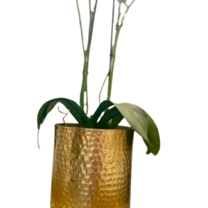 Base Orquídea Martillada Pequeño