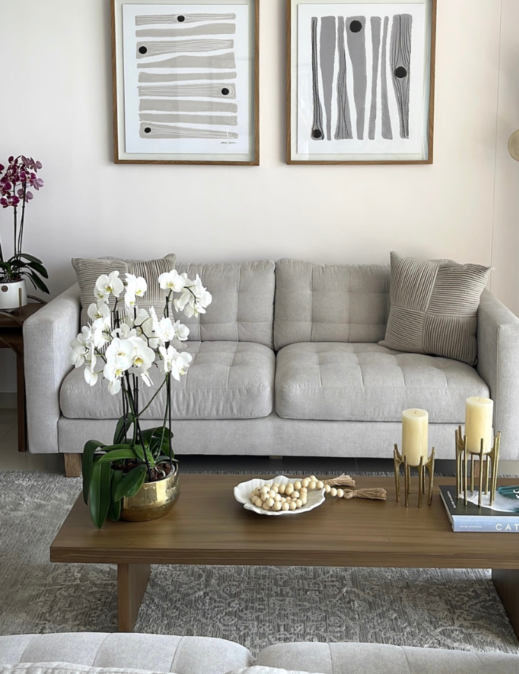 carrusel proyectos 745x966 (24)