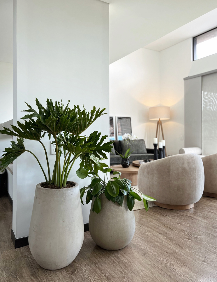 carrusel proyectos 745x966 (57)