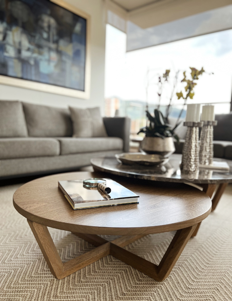 carrusel proyectos 745x966 (73)