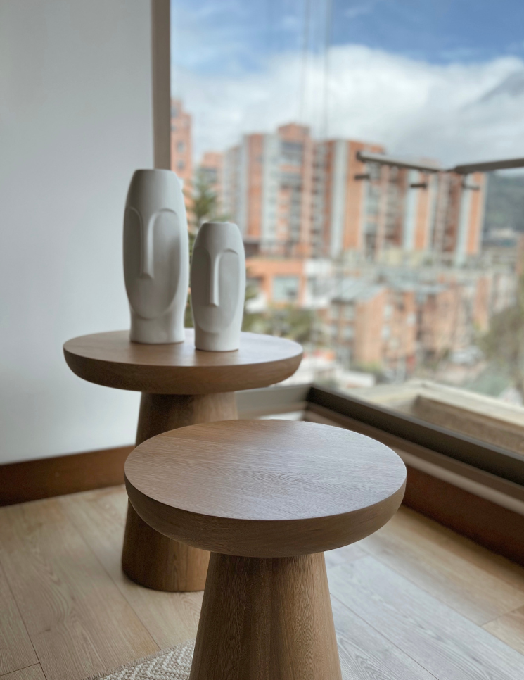 carrusel proyectos 745x966 (76)