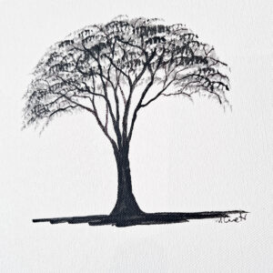 Cuadros Arboles 20X20