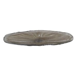 Bowl  Vidrio