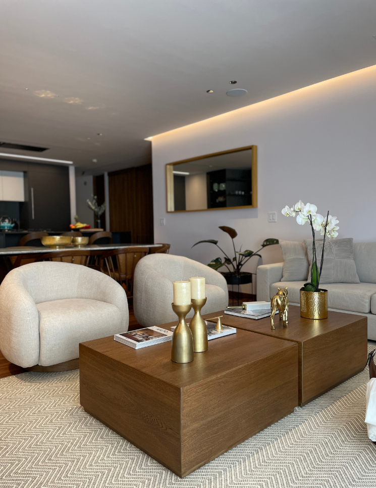 Morus carrusel proyectos 745x966 (3)